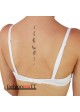 Rene Rofe 'Show The Low' Back Multi-Way Push-Up Convertible Bra - B24947-WHT